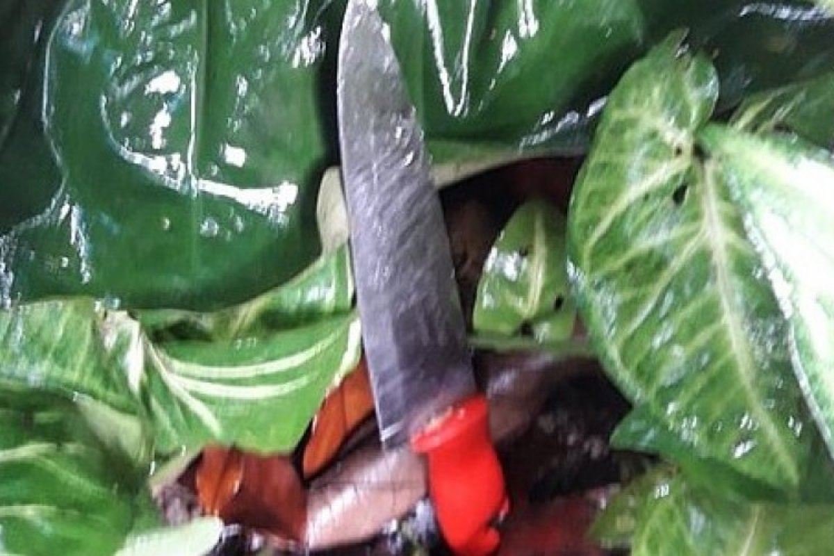 Garoto de 14 anos é vítima de homicídio após tentar salvar a mãe