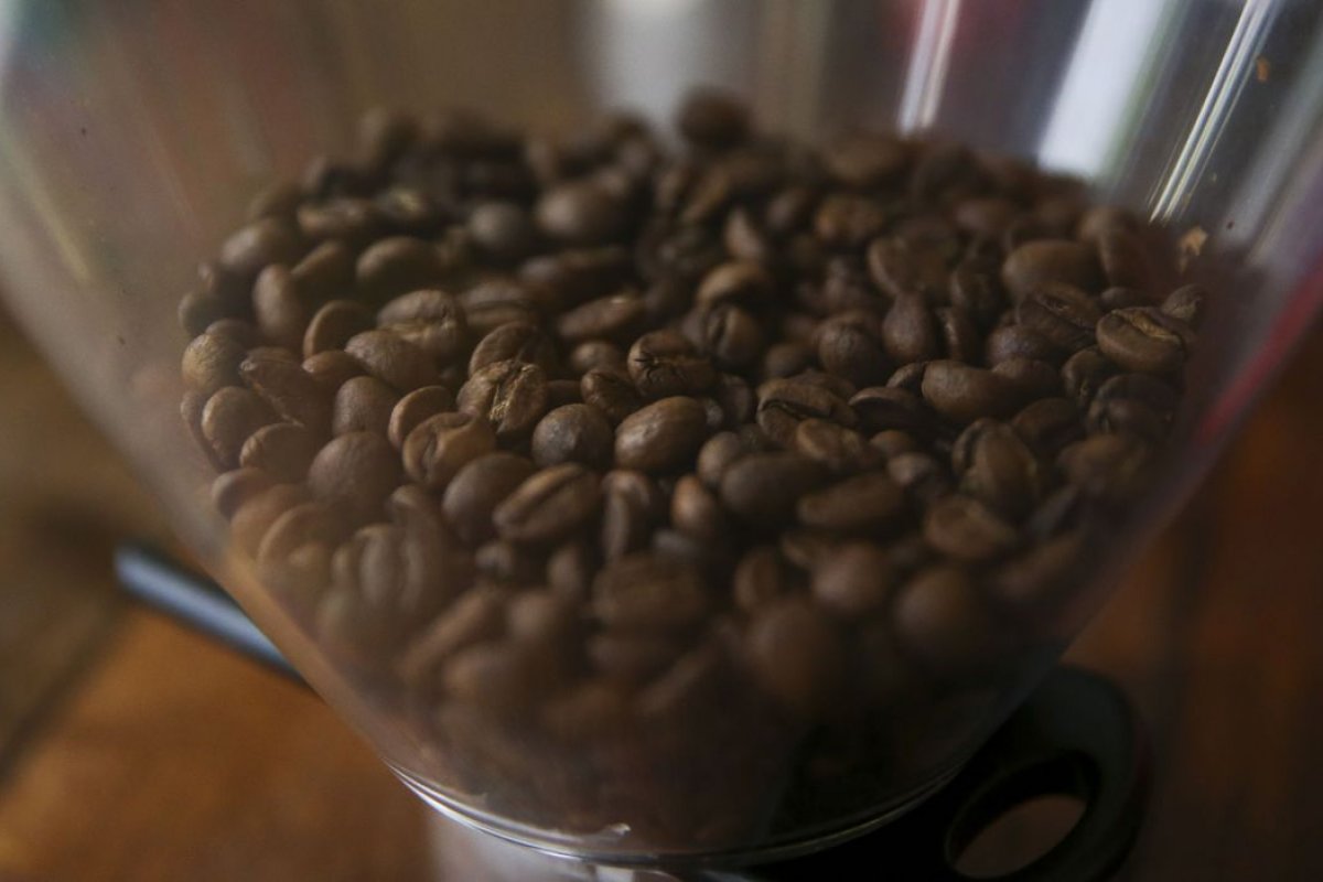 Cecafé: exportação de café robusta apresenta crescimento de 4,7% em maio