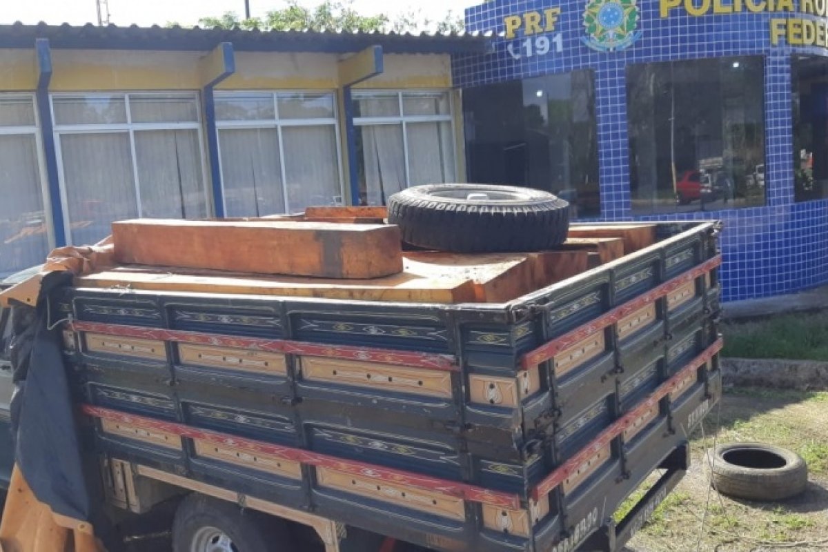 Madeira nativa transportada ilegalmente é apreendida em Buerarema