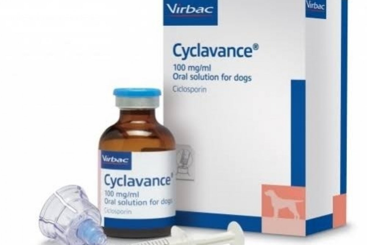 Medicamento  à base de ciclosporina, considerado um princípio ativo de alta eficácia no tratamento da dermatite atópica canina chega ao mercado