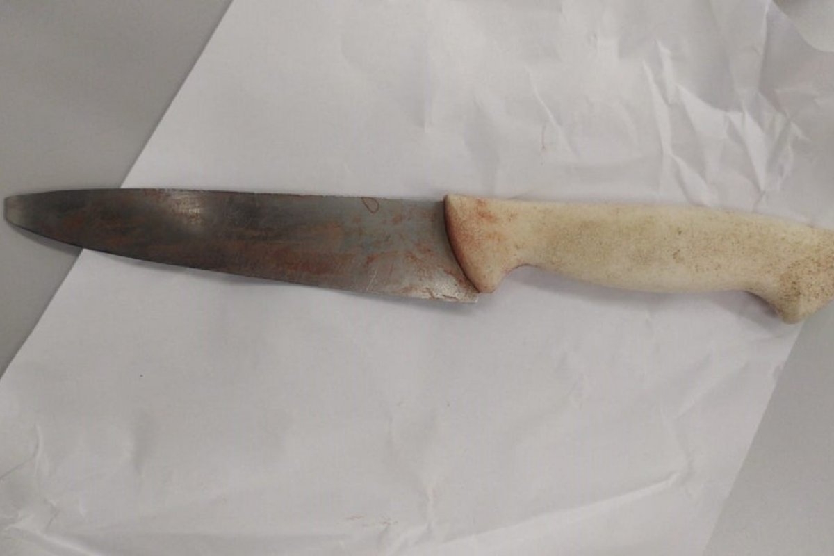 Mulher é esfaqueada cinco vezes na cabeça pelo próprio filho