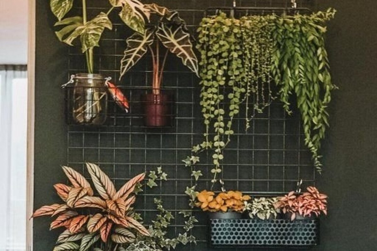 Saiba como montar um jardim vertical em casa