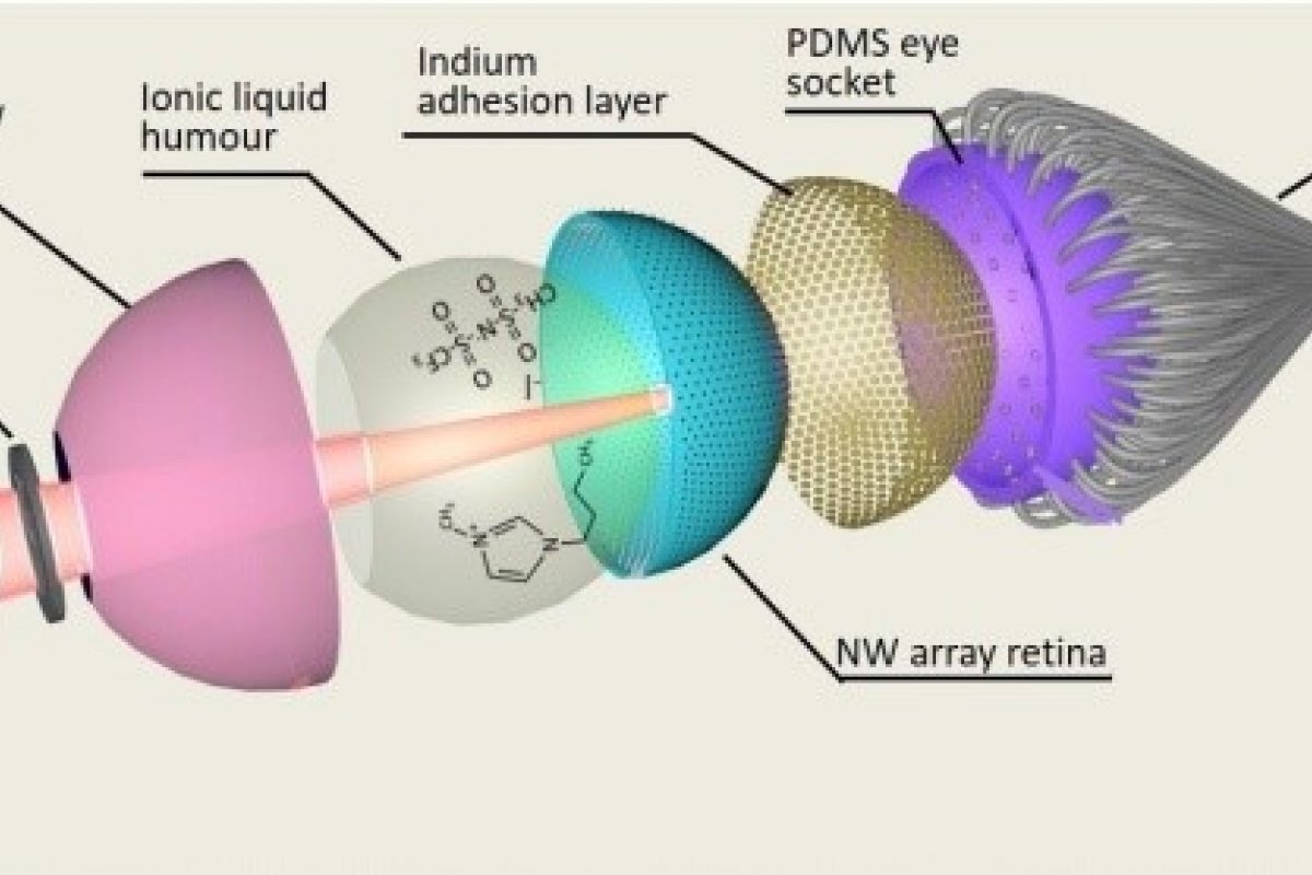 Cientistas criam olho biônico impresso em 3D que pode ter visão sobre-humana e noturna
