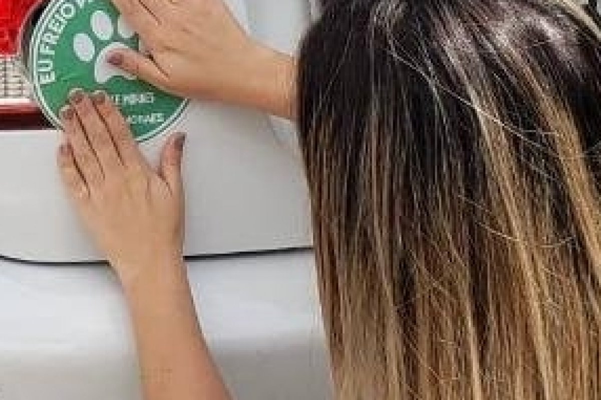 Adesivos de apoio à vida animal no trânsito é lançado na capital baiana