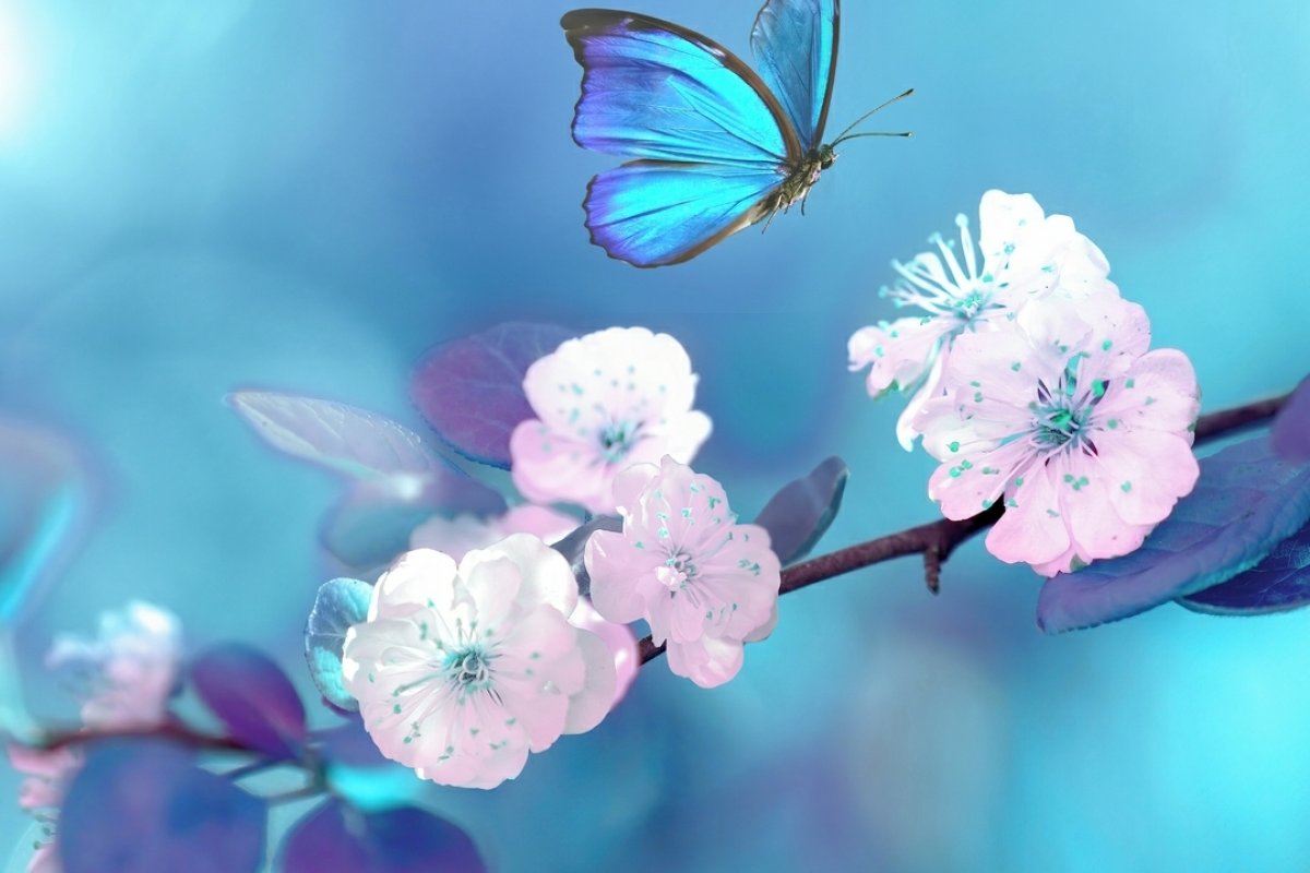 Confira o horóscopo da semana com a astróloga Andreia Modesto