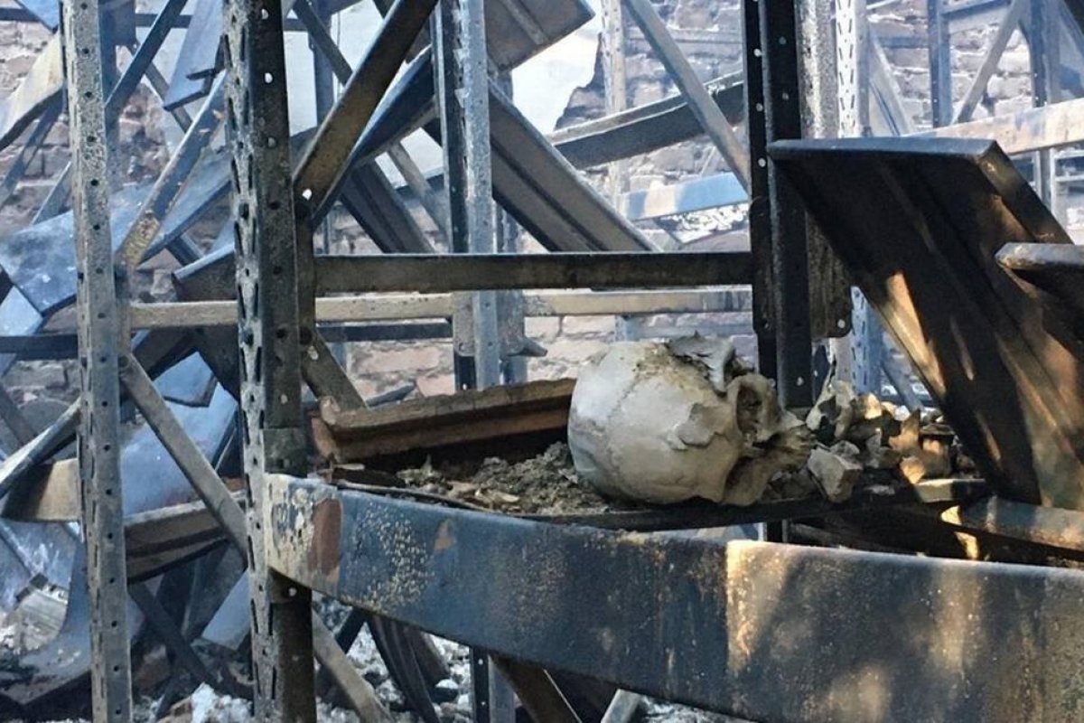 Incêndio atinge o Museu de História Natura da UFMG