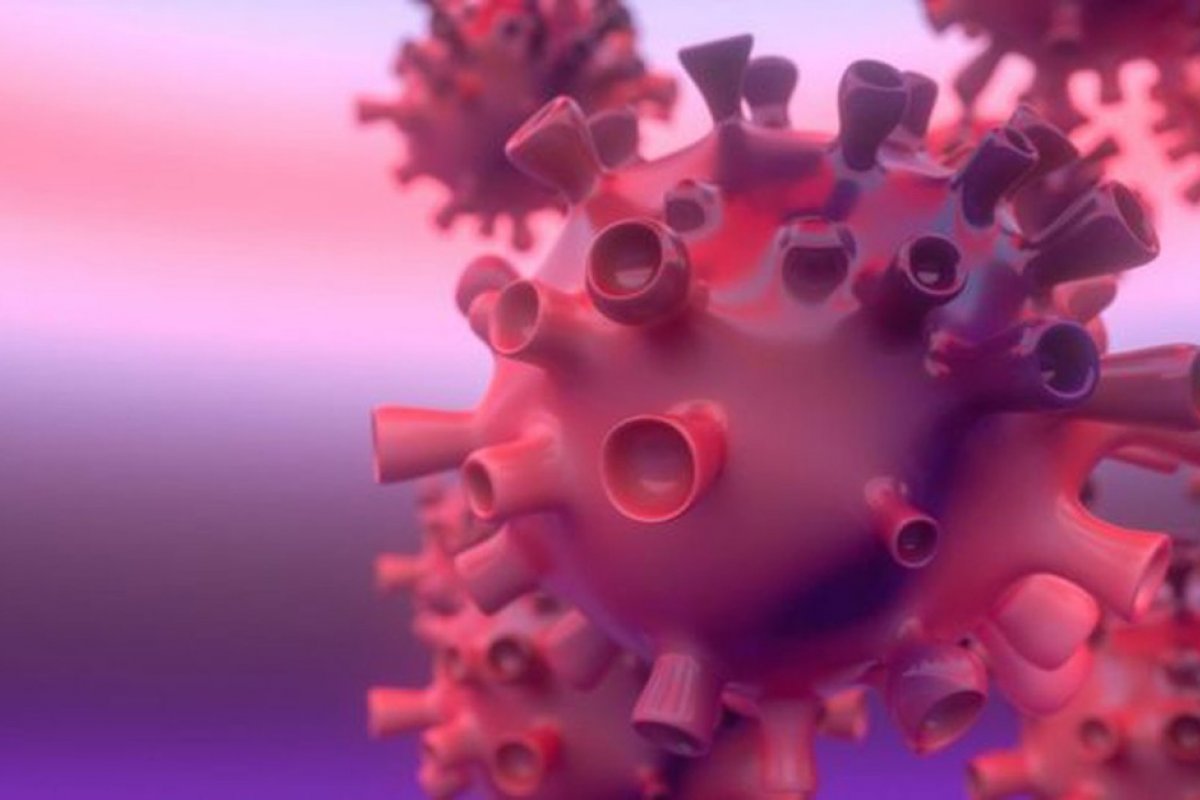 Covid-19: número de infectados no Brasil chega a quase 980 mil