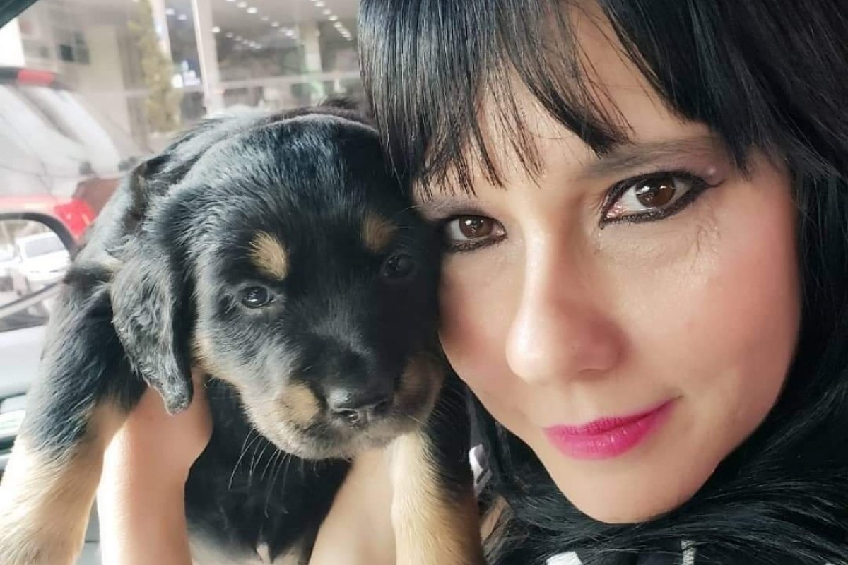 Ana Bittar doa quadros para ação solidária Criadores do Bem