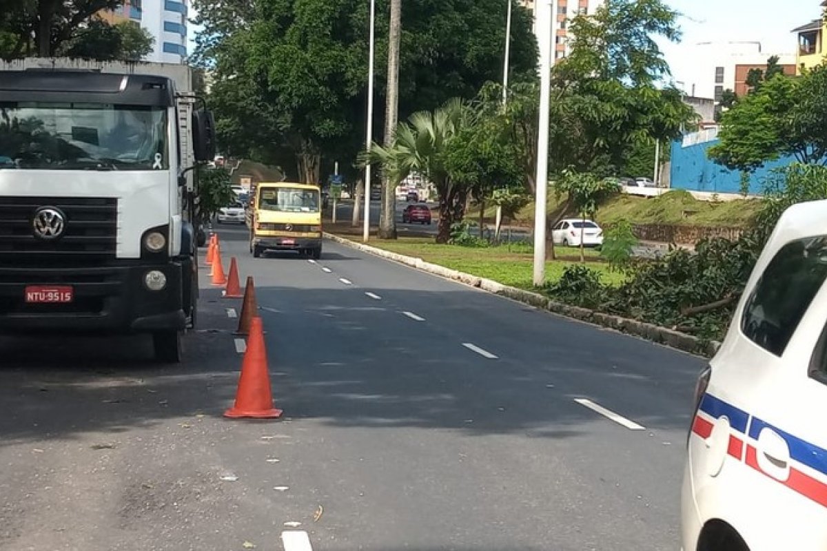 Árvore cai e atinge dois carros no Vale de Nazaré, em Salvador
