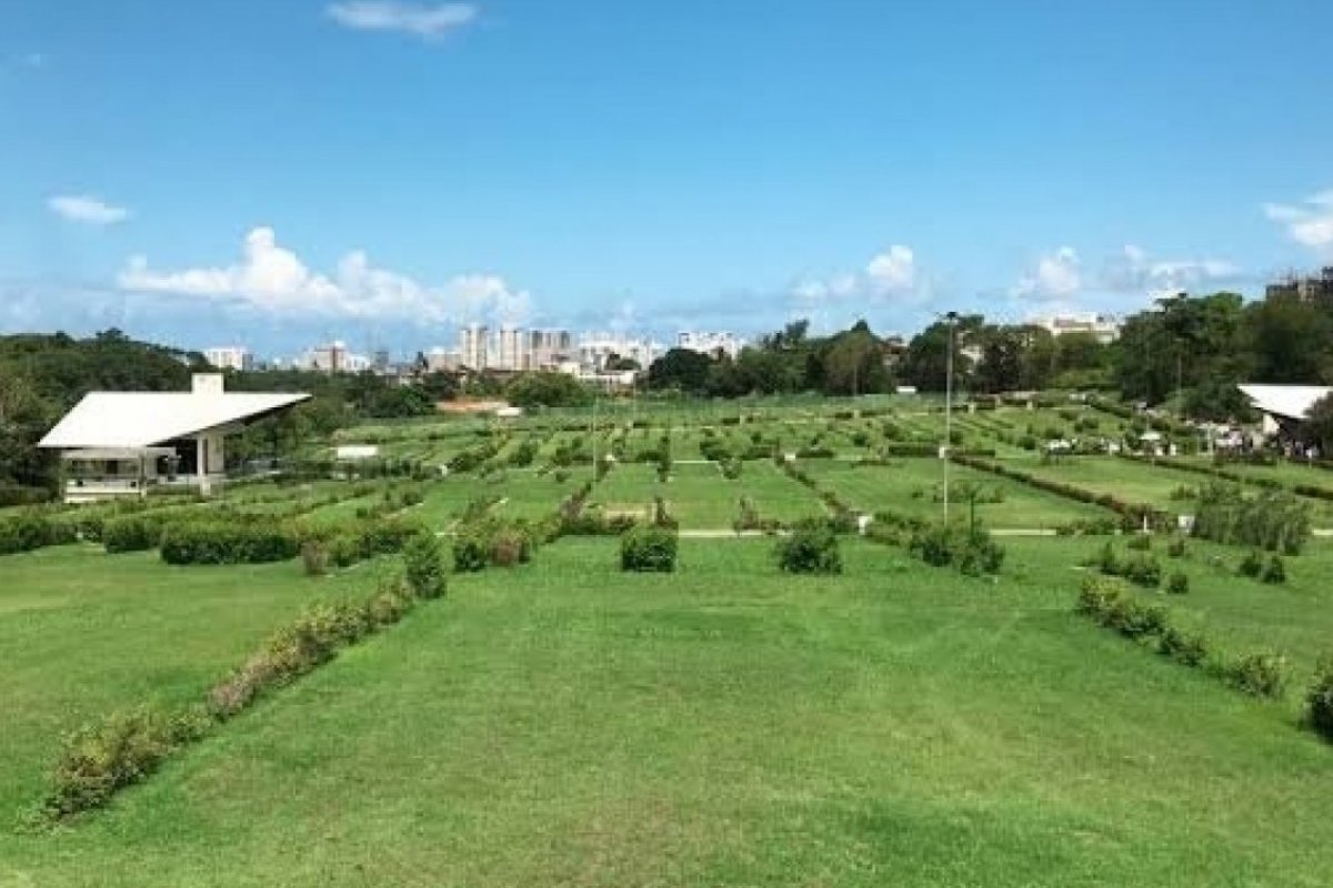 Enterros no mês de maio dobram em relação ao ano passado