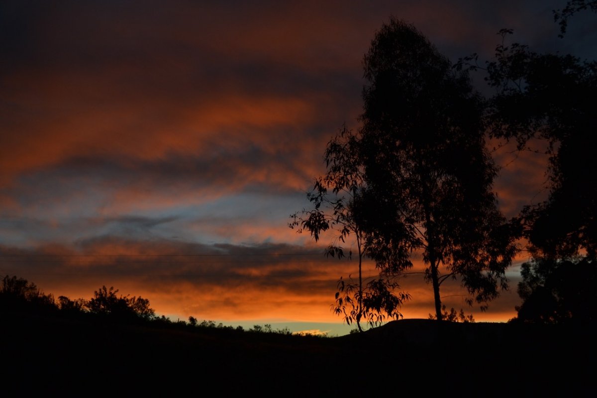 Inverno e a Covid-19