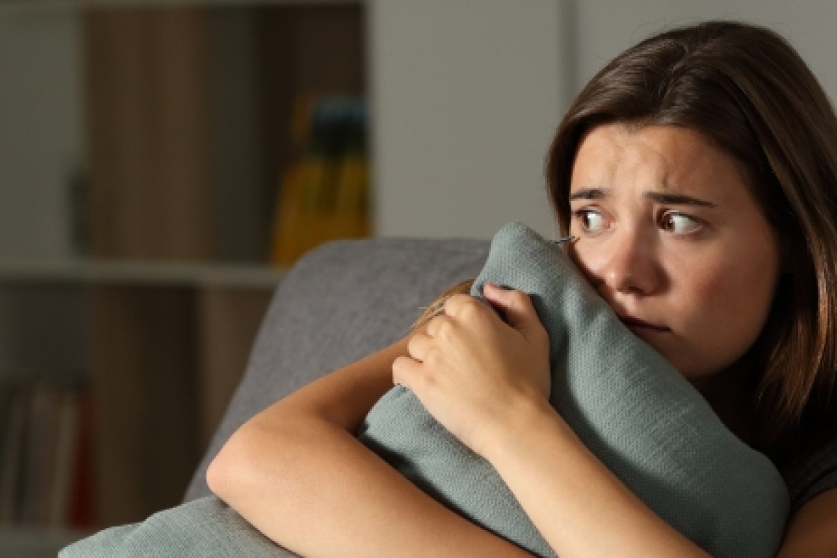 Articulista José Medrado comenta sobre Medo e Covardia