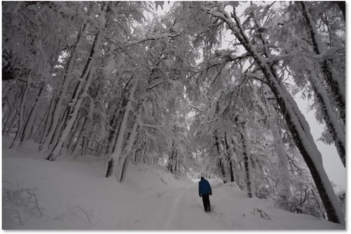 Bariloche dá as boas-vindas ao inverno com neve nas montanhas e apresenta site renovado