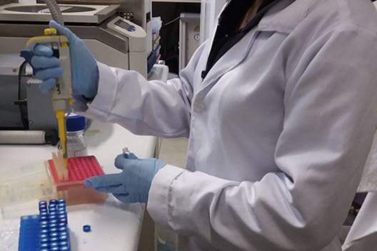 Cientista baiano utiliza o cacau em estudo para criar medicamento contra a Covid-19