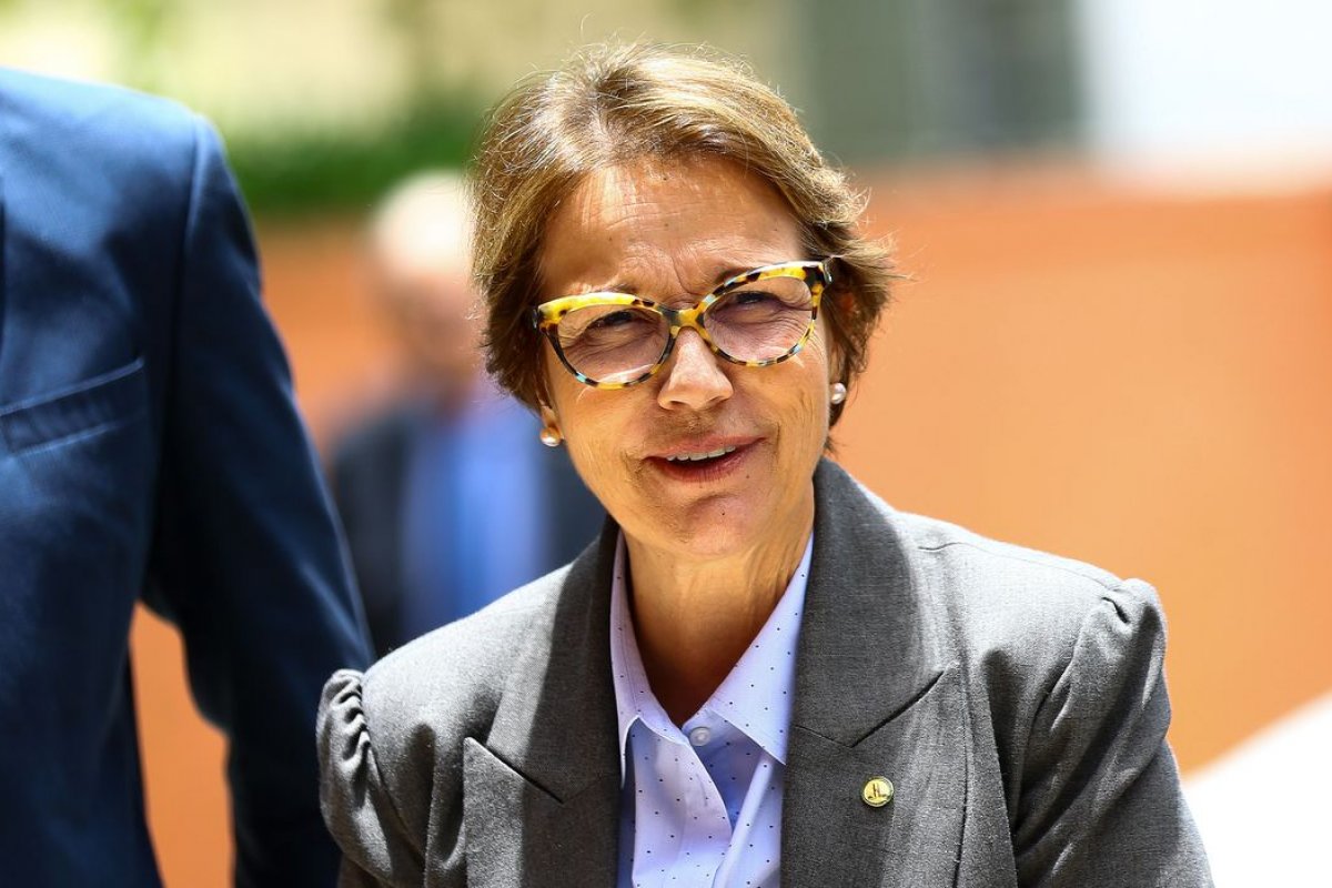 Tereza Cristina diz que Brasil pode intensificar produção de comida sem derrubar árvore