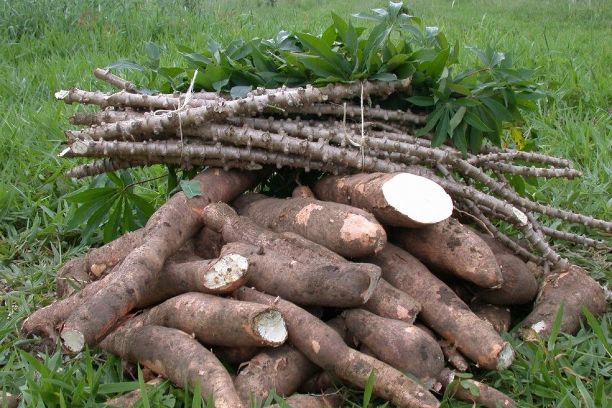 Produtores rurais passam por capacitação em 11 municípios da região Oeste