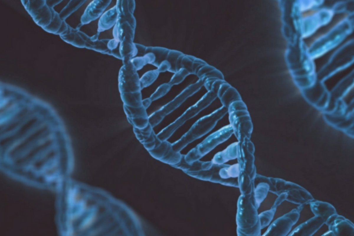 Mutação genética em brasileiros pode aumentar risco de cânceres