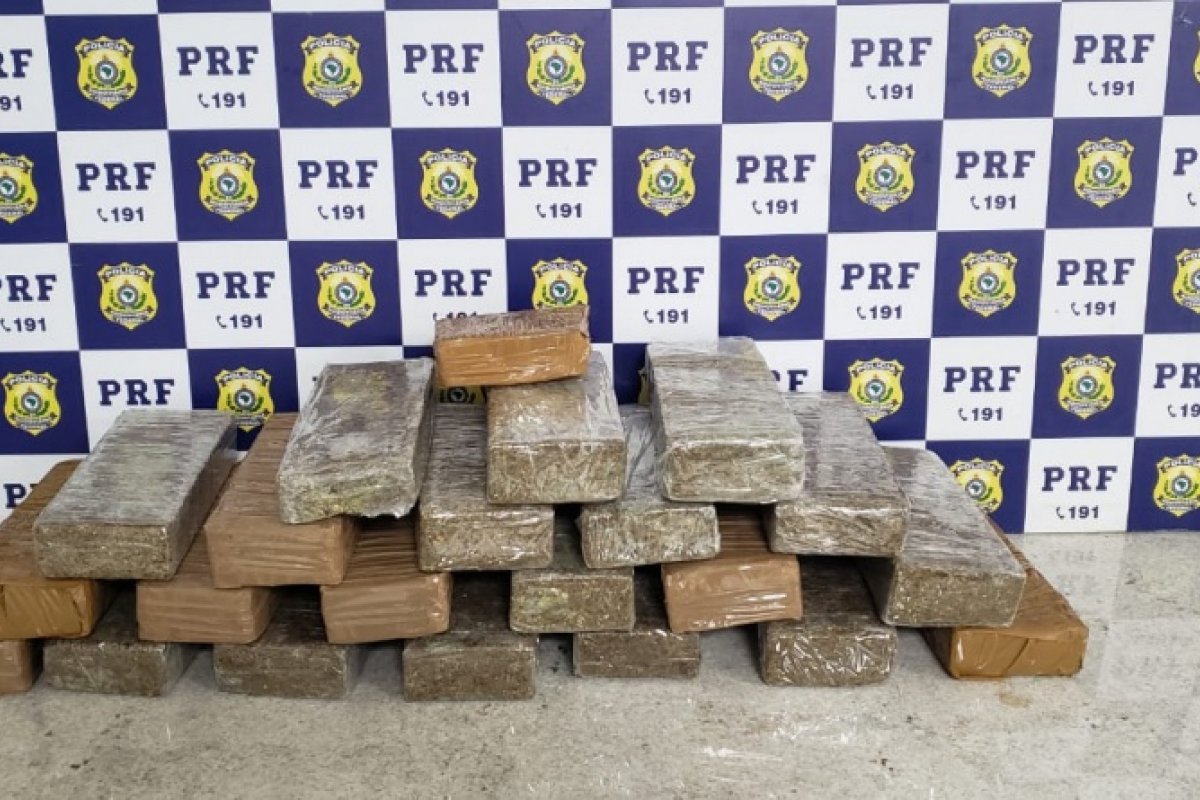 Passageiros de ônibus são presos com drogas na BR-116