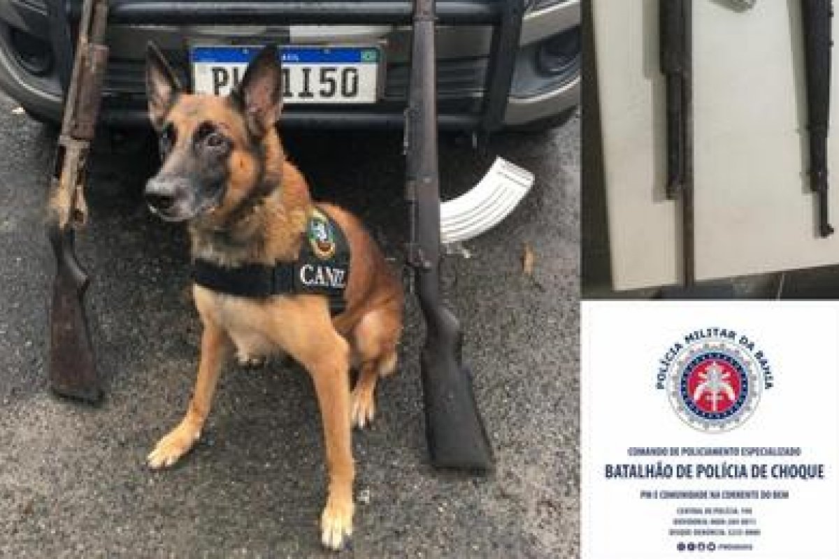 Batalhão de Choque da PM apreende fuzil e espingarda em Sussuarana