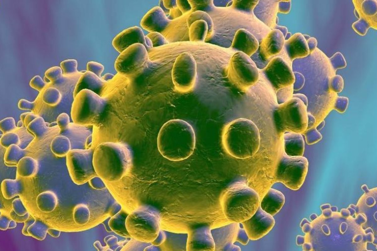 Estudo mostra que coronavírus mudou e contamina mais do que o virus que originou na China