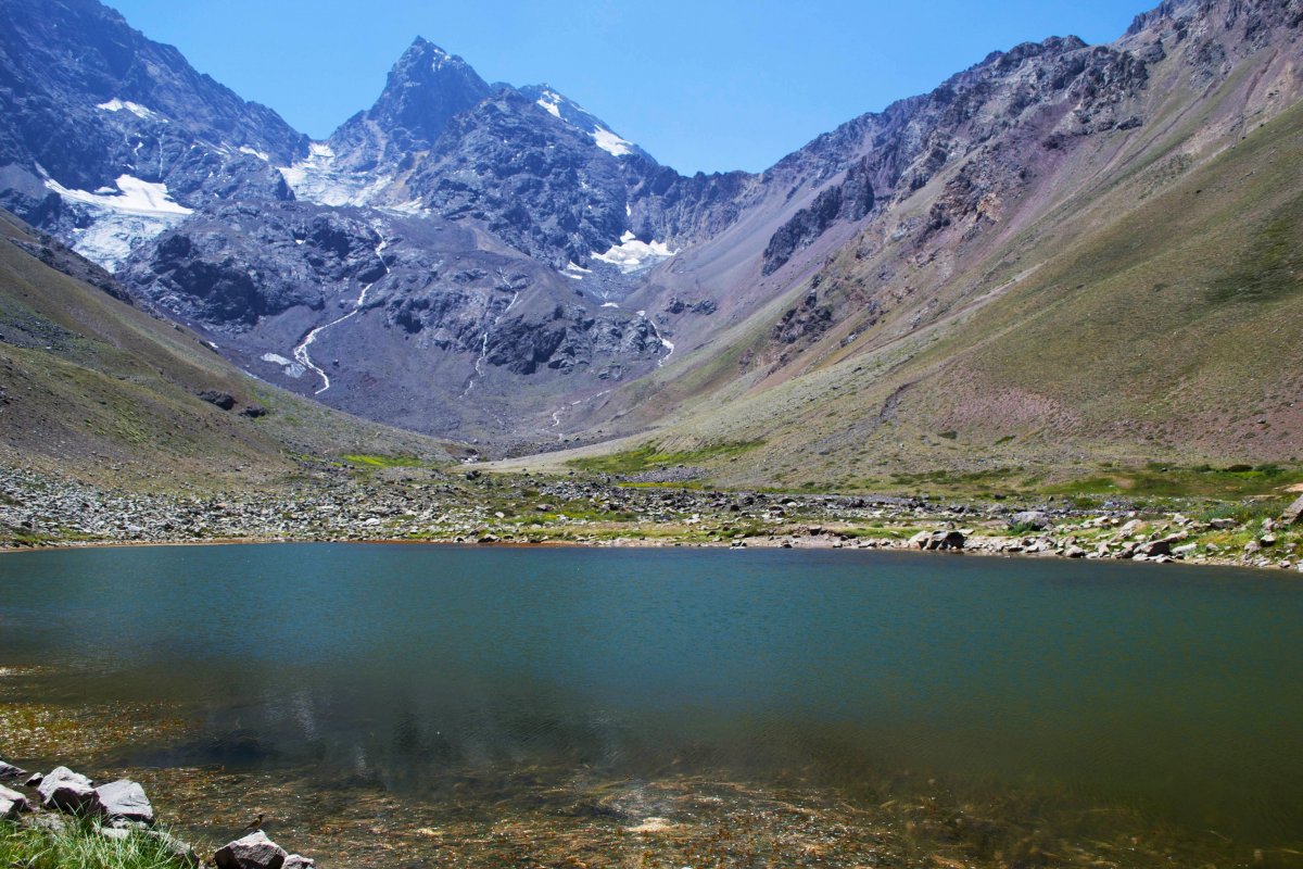 Vislumbres da natureza 