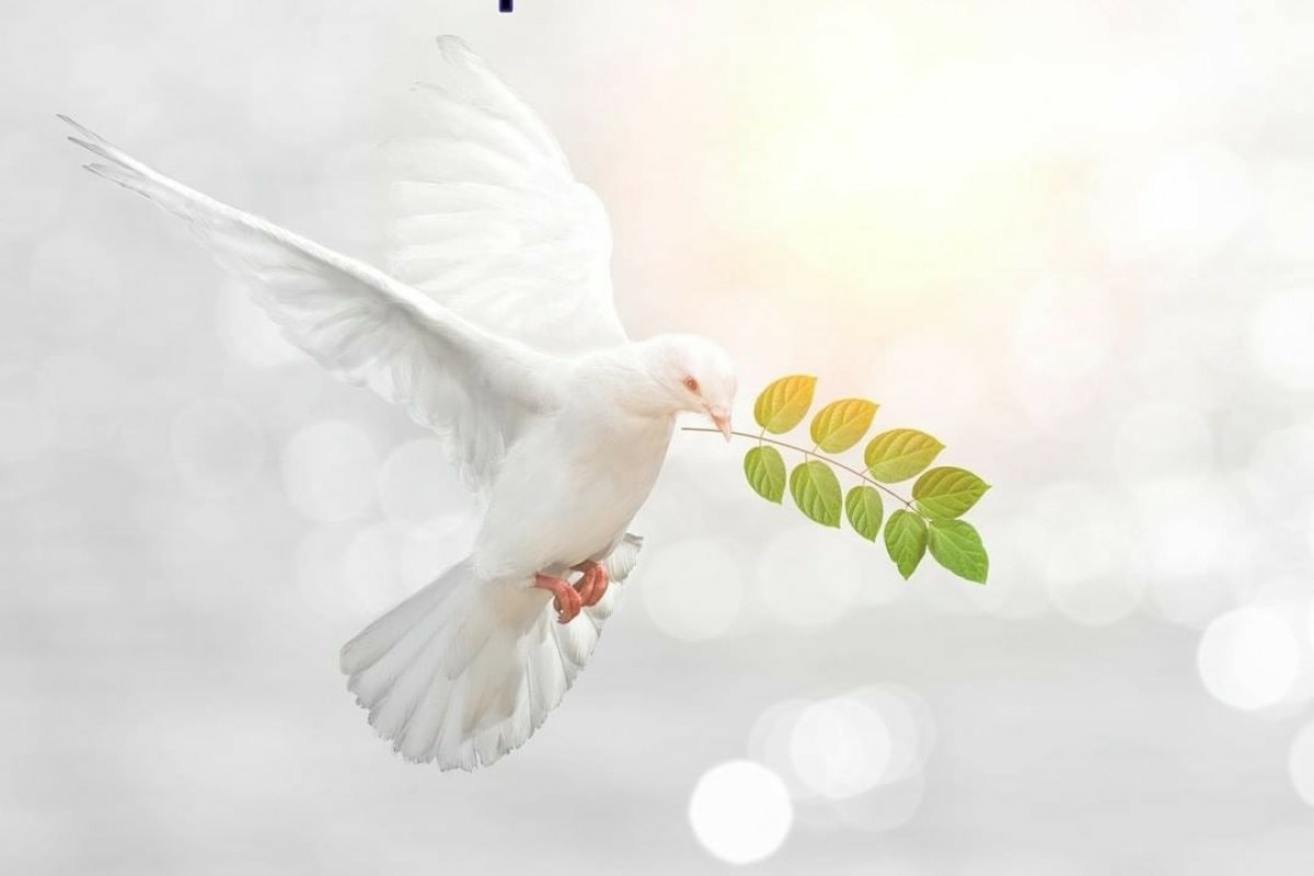 Confira o horóscopo da semana com a astróloga Andreia Modesto