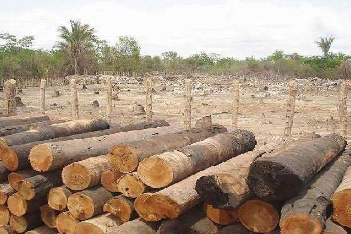 Governo da Bahia autorizou o desmatamento de 34 mil hectares durante pandemia