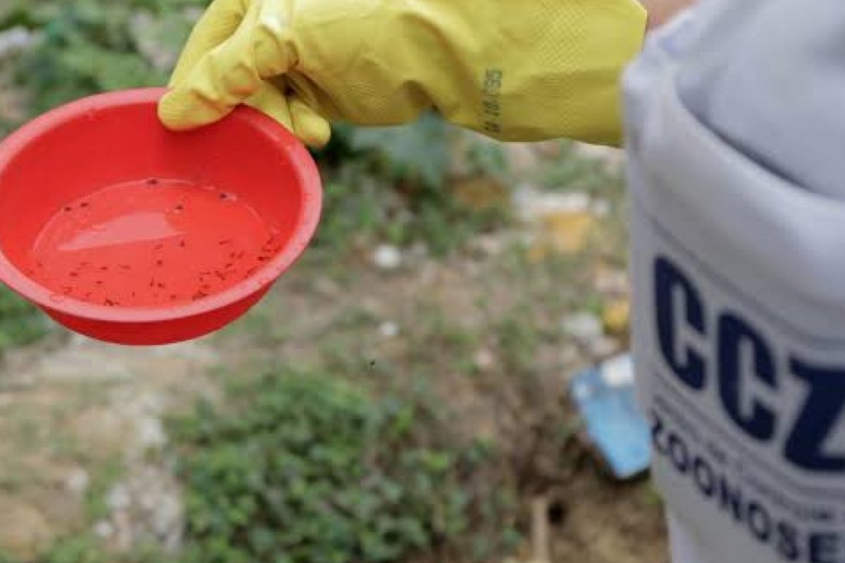 Dez bairros de Salvador têm ações intensificadas em combate ao aedes aegypti