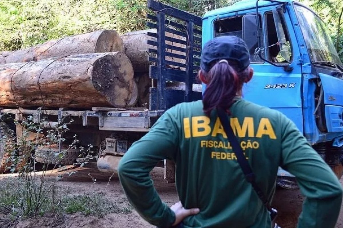 Em depoimento, servidores do Ibama dizem que o governo adota ações para prejudicar fiscalização ambiental