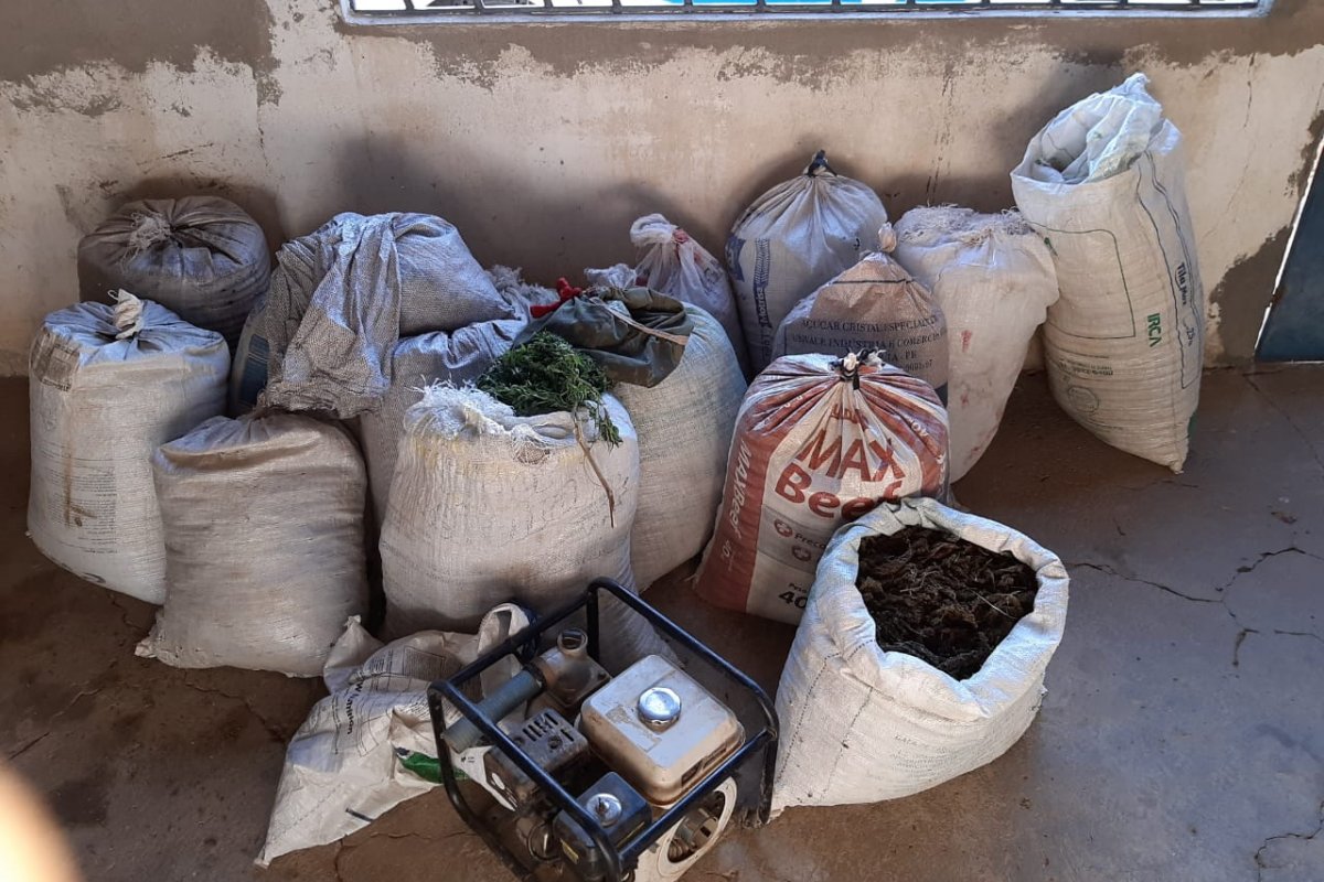Polícia apreende meia tonelada de maconha em duas cidades no interior da Bahia