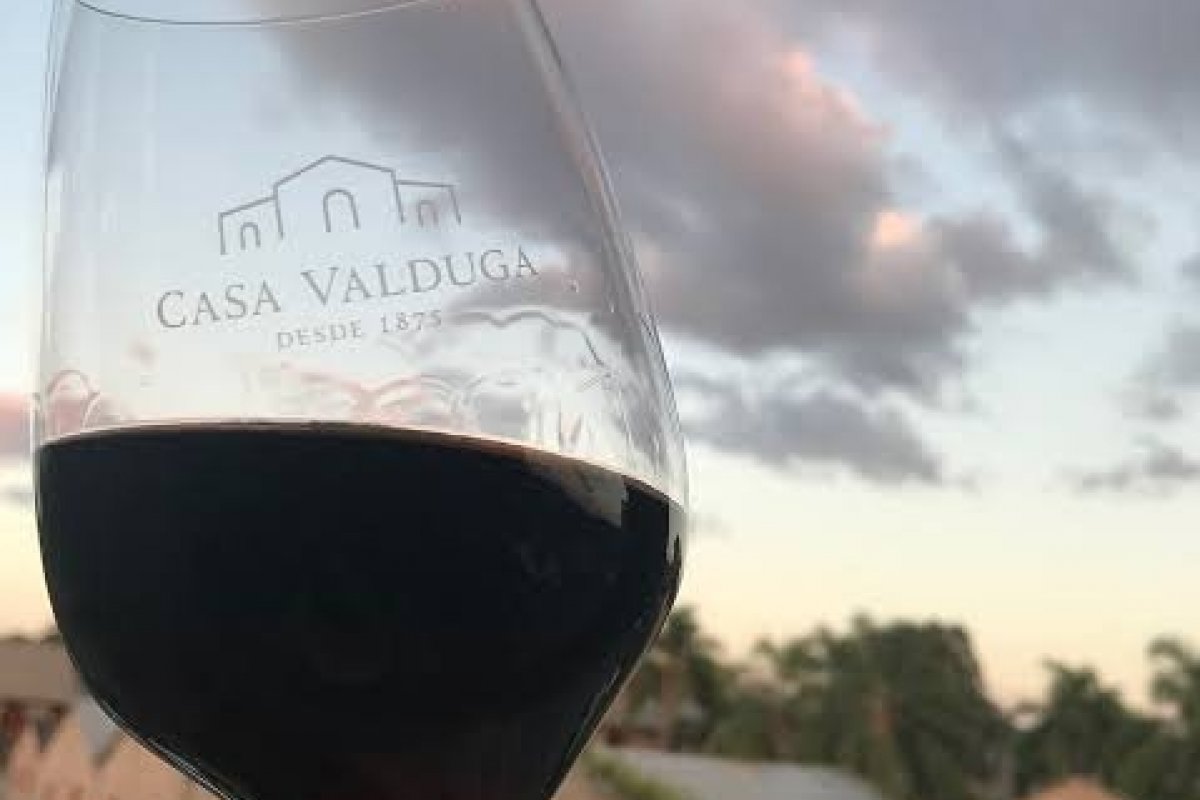 Marca lança rótulos de vinhos descomplicados