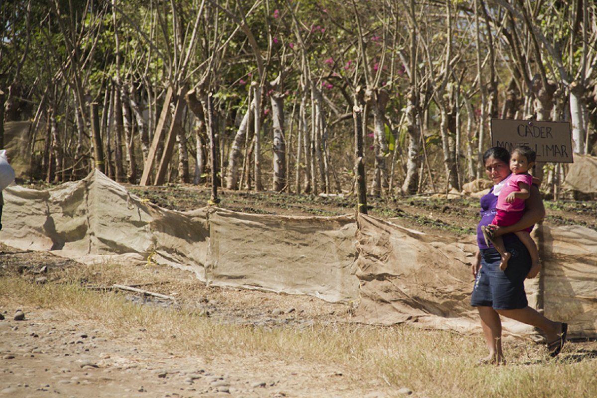 Mais de 821 milhões de pessoas foram afetadas pela fome no mundo em 2018, diz ONU