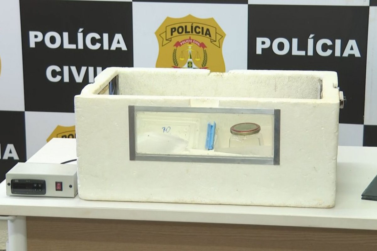 Polícia suspeita que estudantes que criavam naja tinham envolvimento em tráfico de animais