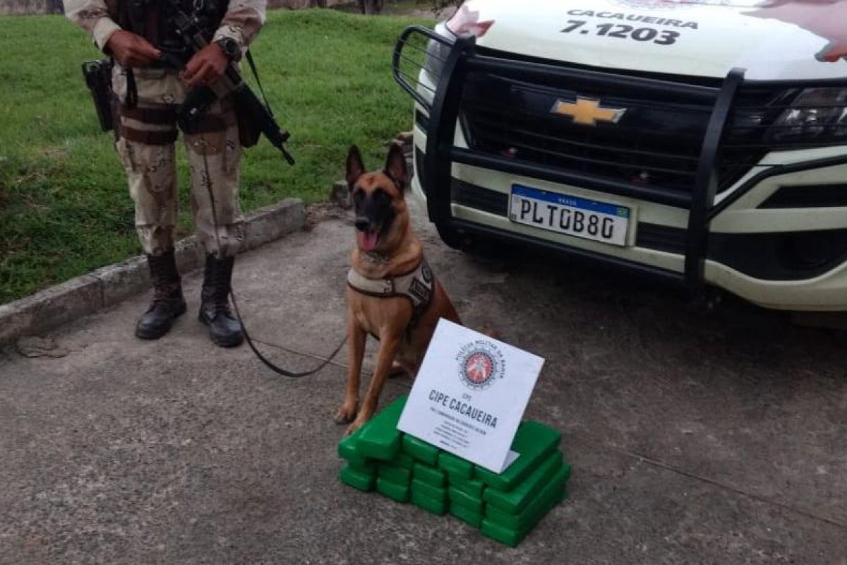 Polícia apreende 23 kg de maconha em localidades no sul da Bahia