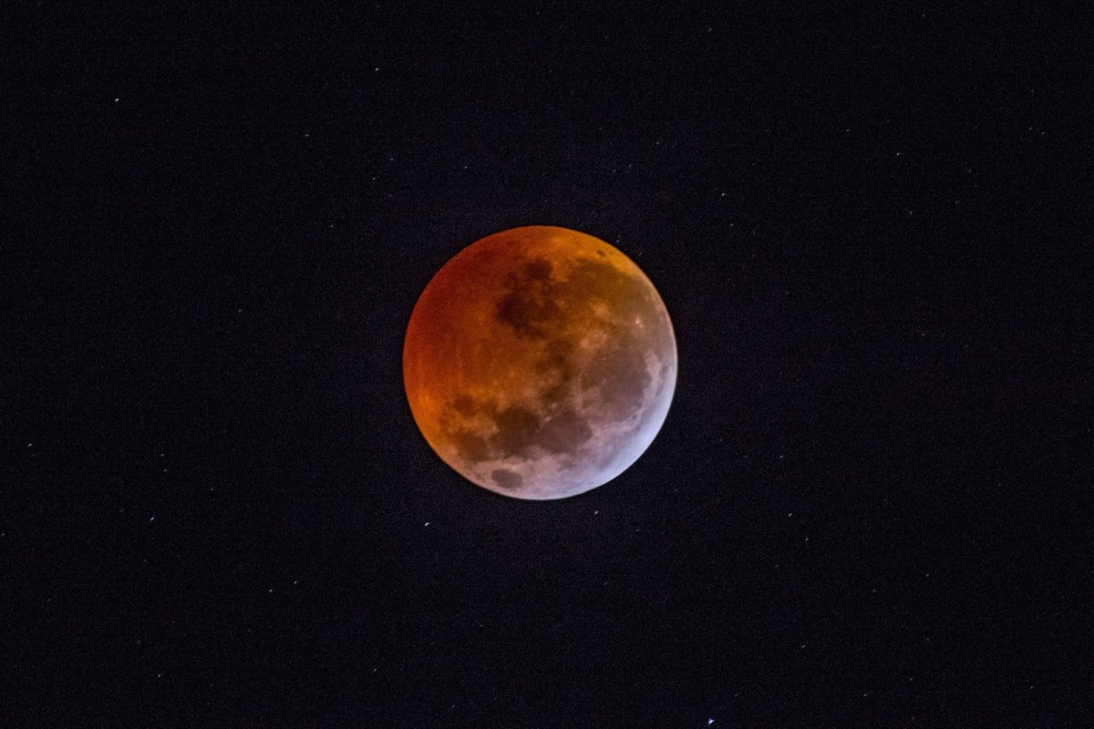 Eclipse lunar parcial será visto em todo o Brasil nesta terça-feira