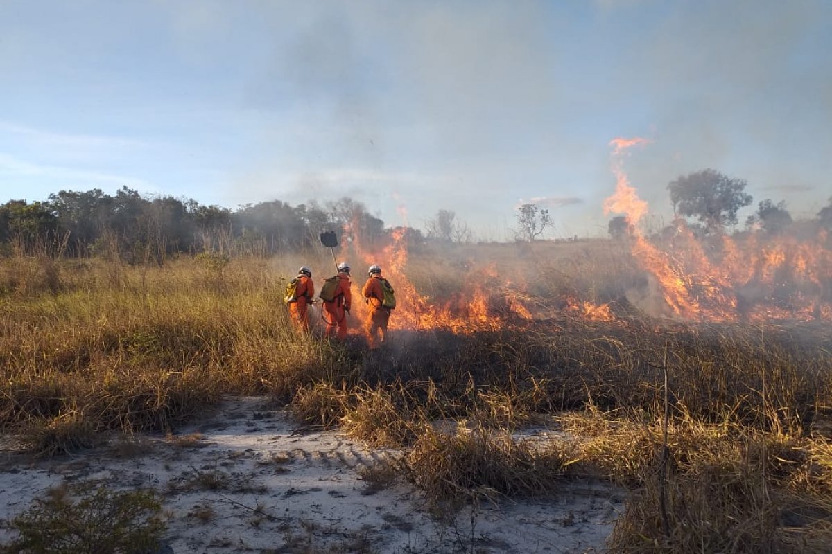 Incêndio florestal é contido pelos bombeiros em Luís Eduardo Magalhães