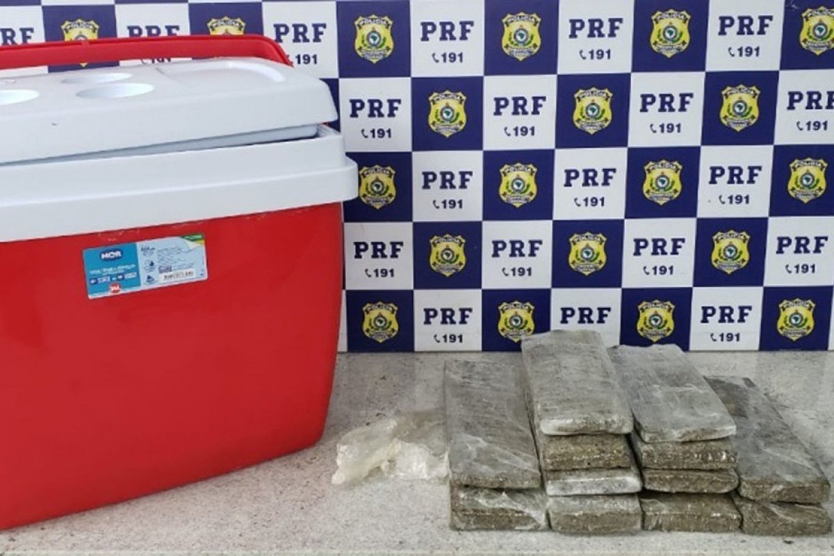 Polícia encontra maconha dentro de caixa térmica em ônibus de turismo