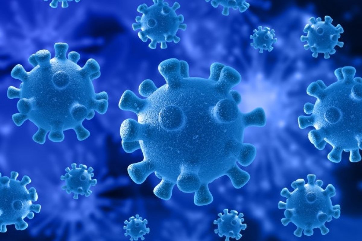 Estudo global mostra que pandemia afeta mais pequenas empresas no Brasil