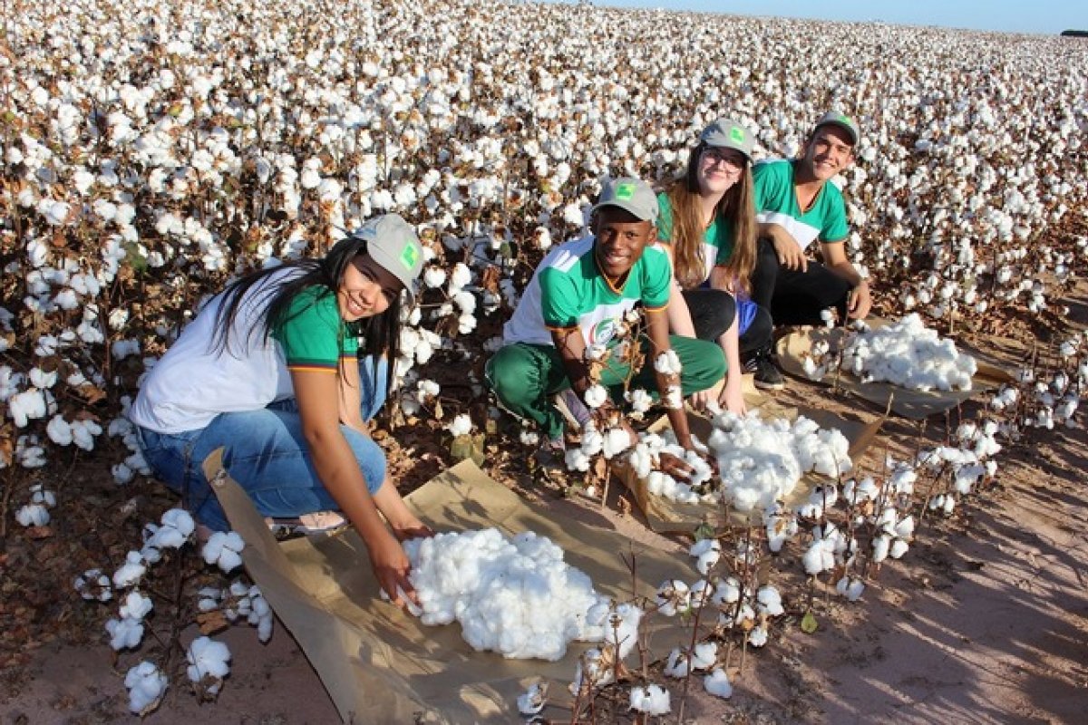 Estudantes do oeste baiano realizam experiência com fibra do algodão na estratosfera terrestre
