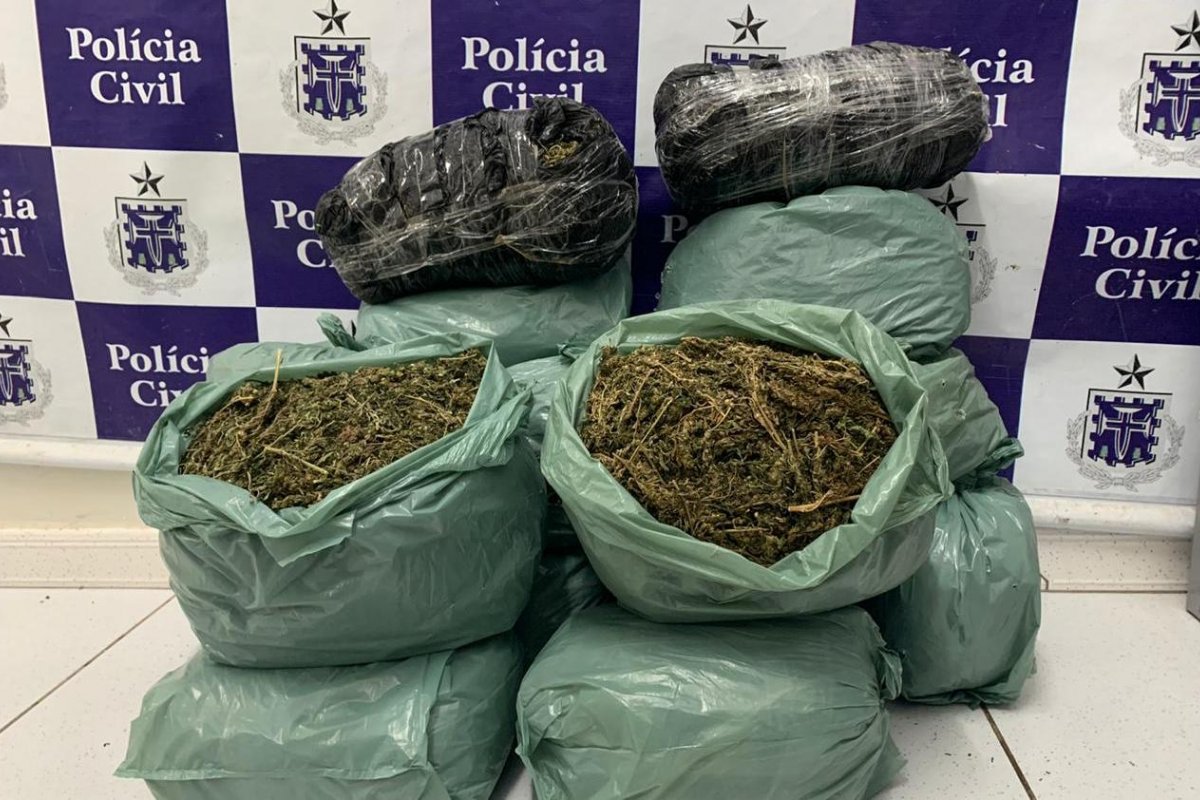 Polícia Civil apreende 16 kg de maconha entre cidades baianas