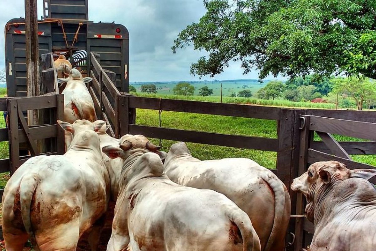 Motorista morre após veículo tombar em rodovia baiana