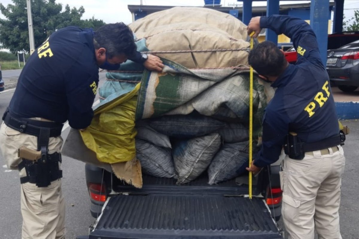 Condutor é flagrado pela PRF transportando carvão vegetal na BR 242