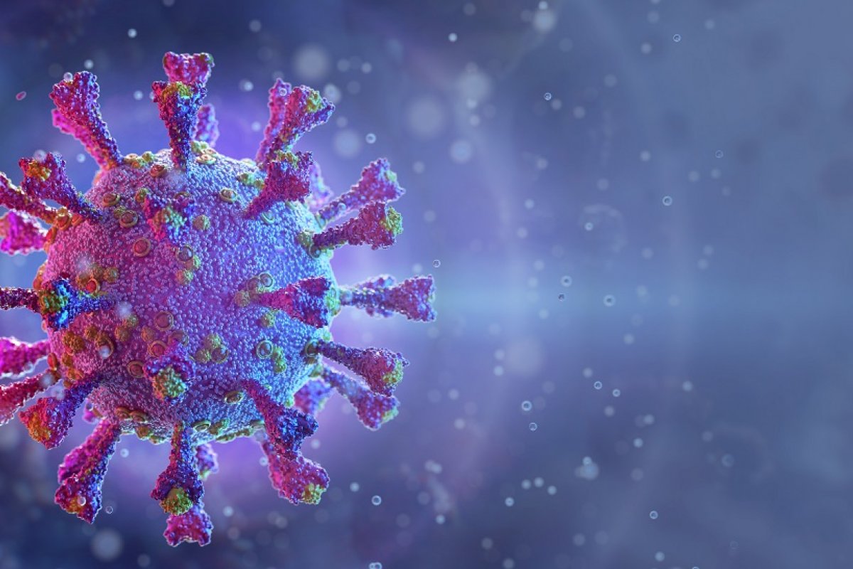 Brasil registra 78.821 mortes por coronavírus confirmadas, segundo consórcio de veículos de imprensa