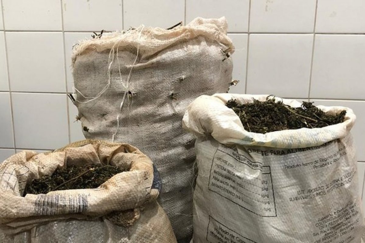 Homem é preso após ser flagrado com maconha no povoado de Lagoa da Canabrava, na Bahia