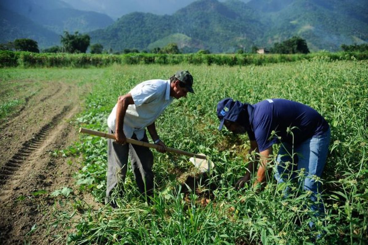 Câmara aprova PL voltado para ajuda a agricultores familiares durante a pandemia