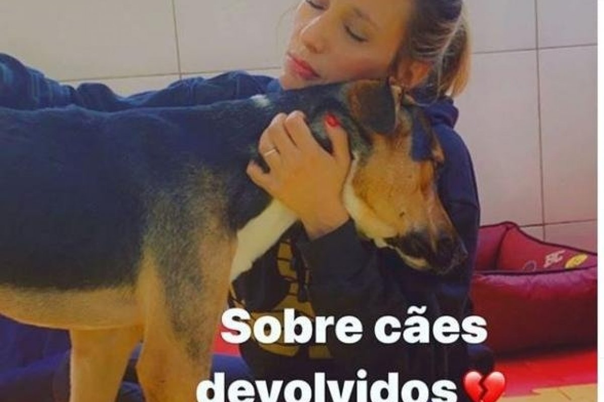Luisa Mell desabafa após Claudia Ohana devolver cachorros adotados