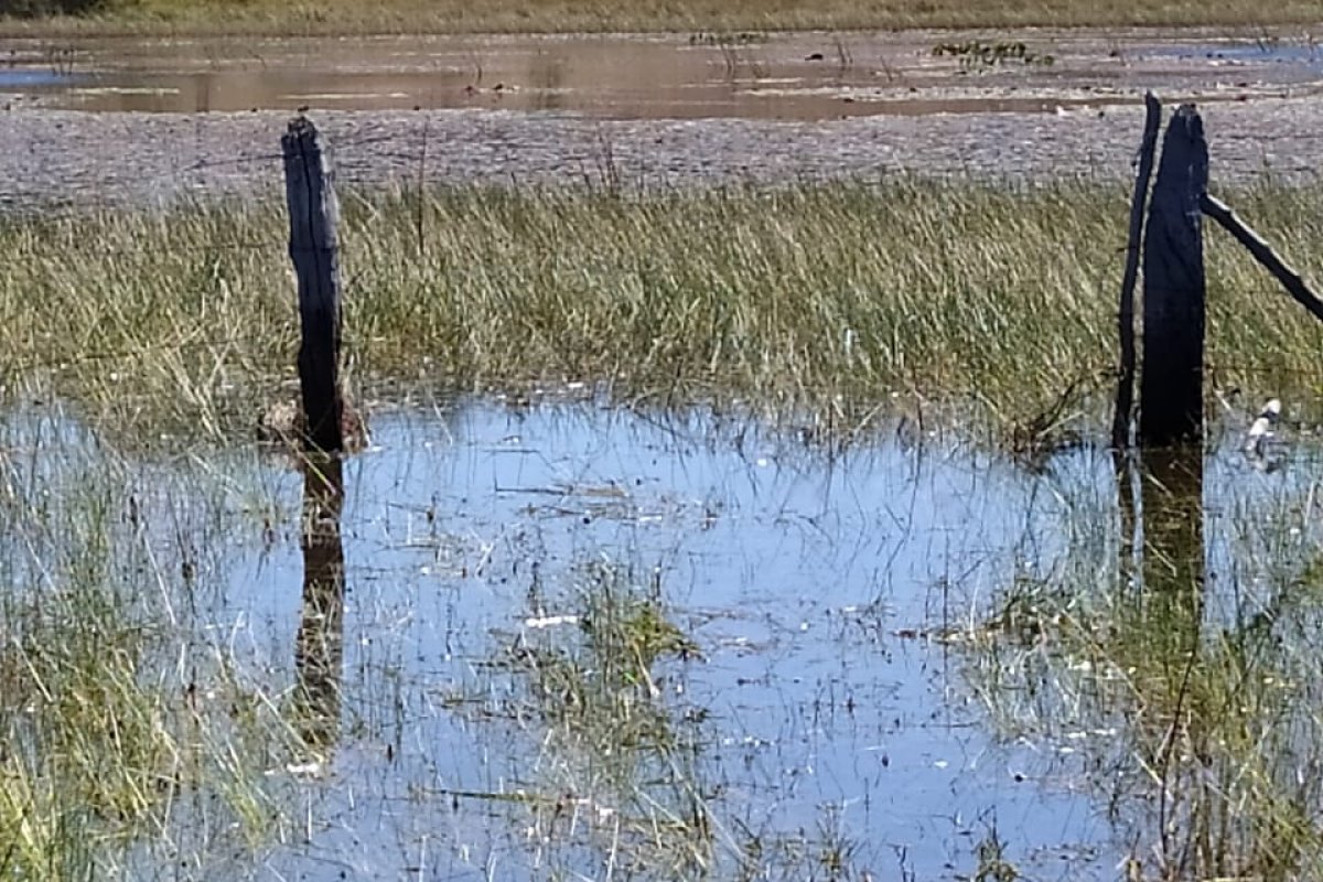 Bombeiros encontram corpo de homem desaparecido em lagoa de Baianópolis