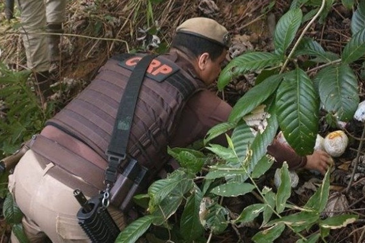 Polícia desmonta acampamento utilizado como esconderijo de drogas e criminosos em Salvador