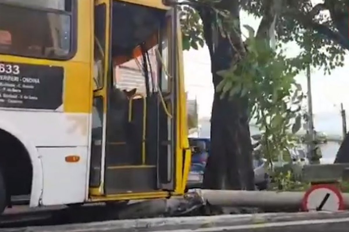 Ônibus desgovernado bate em poste e árvore na região da Gamboa