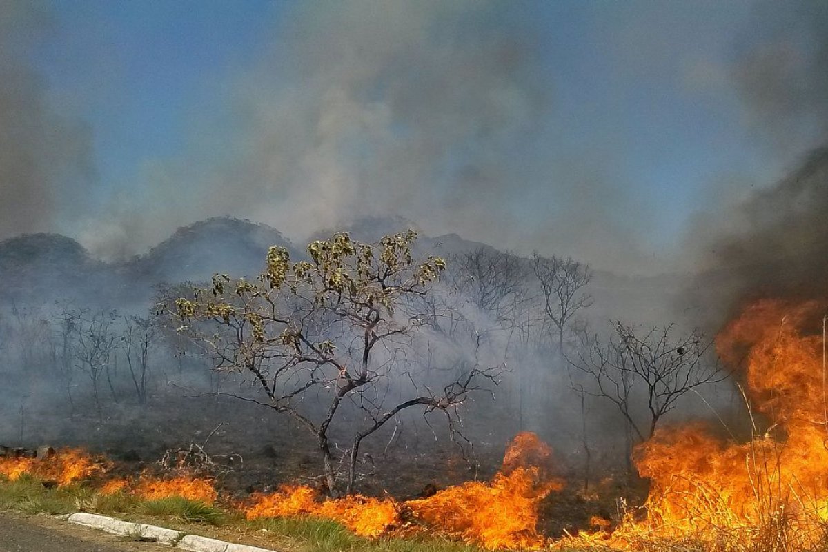 Incêndios na Amazônia em 2019 aconteceram em áreas desmatadas, diz Embrapa